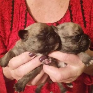 Meet your Posher, Janice